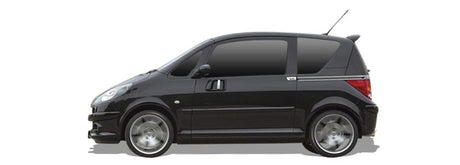 PEUGEOT 1007 Einspritzdusen