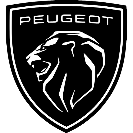 PEUGEOT Einspritzdusen