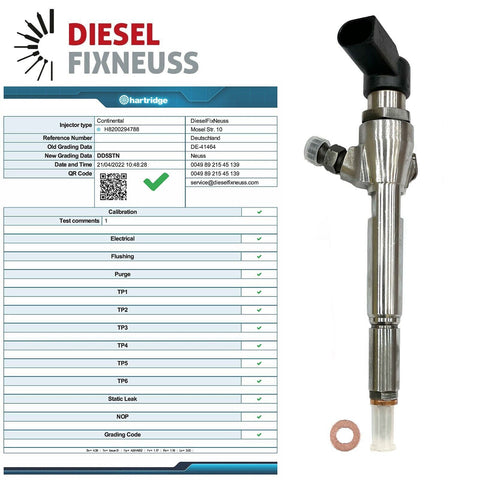 Einspritzdüse Injector Dacia Renault 8200380253 H8200294788 1.5 DCI Siemens