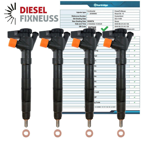 4x Einspritzdüse Citroen Peugeot Ford 2.0 HDi 9674984080 28388960 28319895