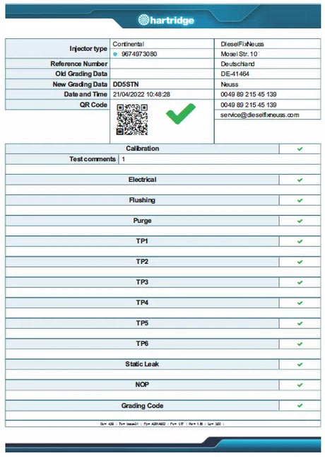 Austausch Injektor Ford Volvo Peugeot Citröen 1,6 HDI TDCI 50274V05 A2C59513556