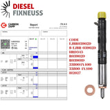 Refurbished injector EJBR03902D for Kia Carnival 2.9 CRDi (J3 engine), includes test report – compatible with 144–192 PS models from 2001–2015